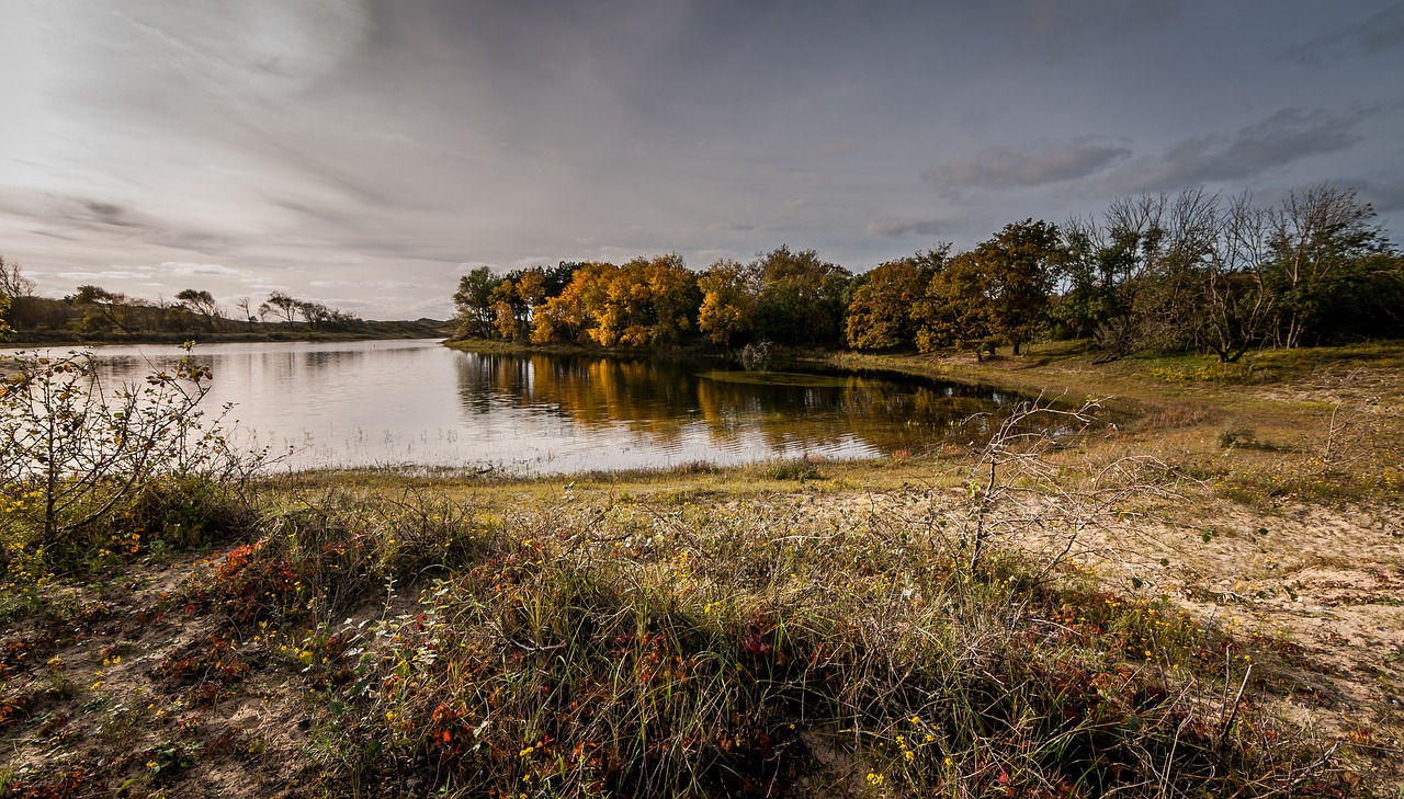 Knus Natuurhuisje aan de Duinrand