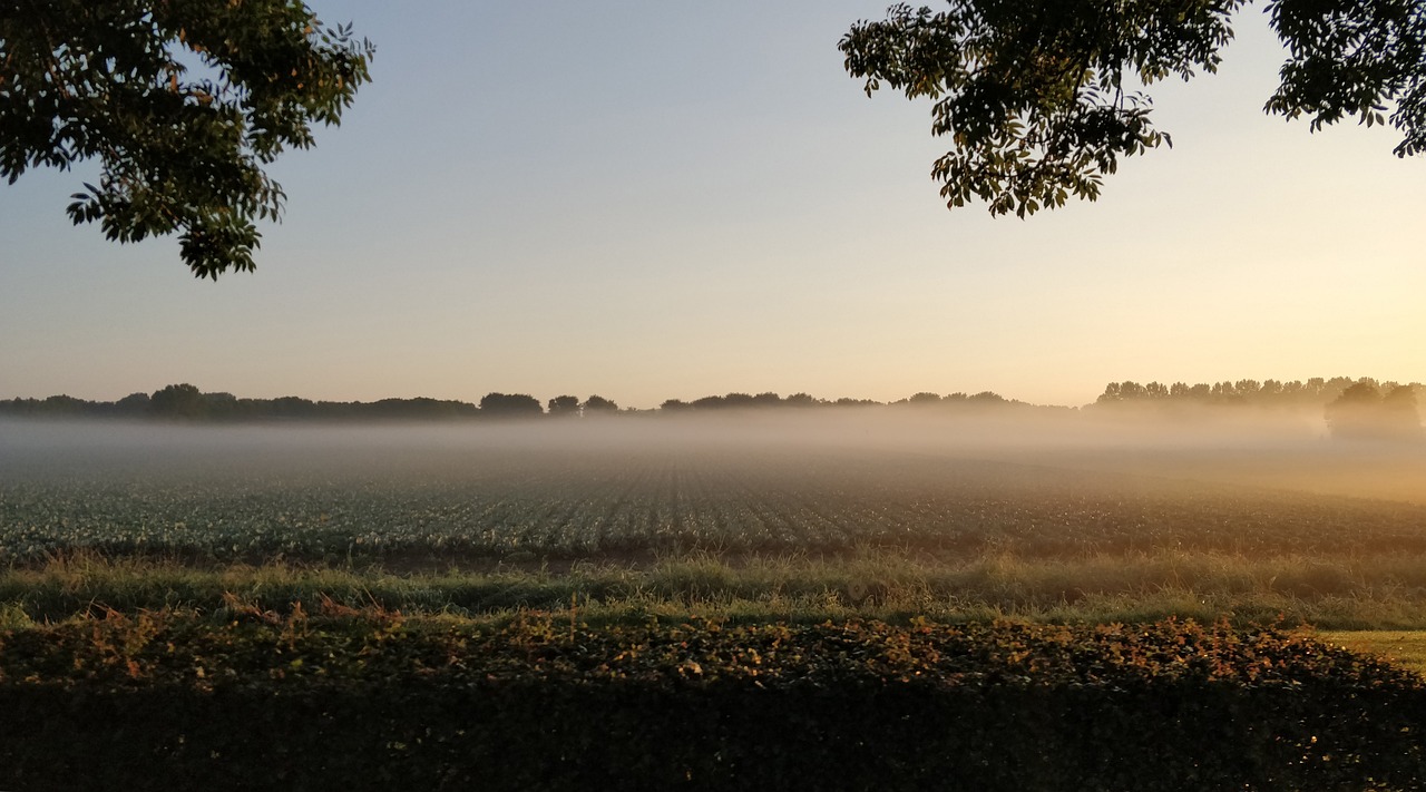 Knus Natuurhuisje aan de Duinrand