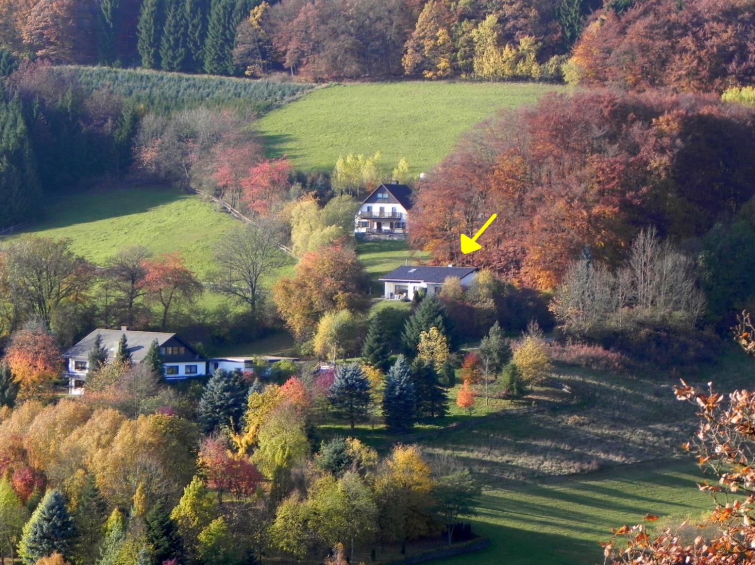 Ferienbungalow Willingen-Winterberg